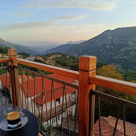 Casagli Luxury Suites 蒂米萨那 外观 照片